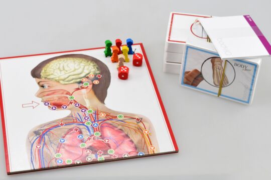 Brettspiel Body IQ Junior - große Box