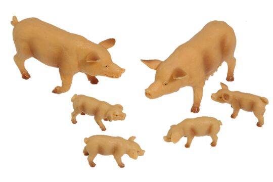 Schweine - Set 6